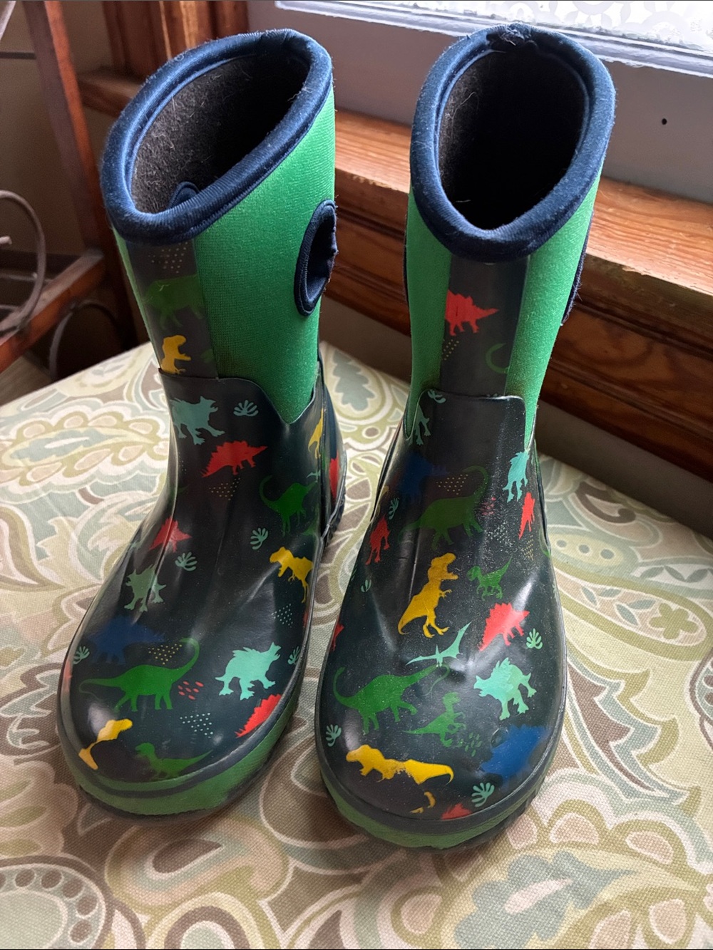 Dinosaur print rain boots, great for muddy puddles! Size little kid 9/10.